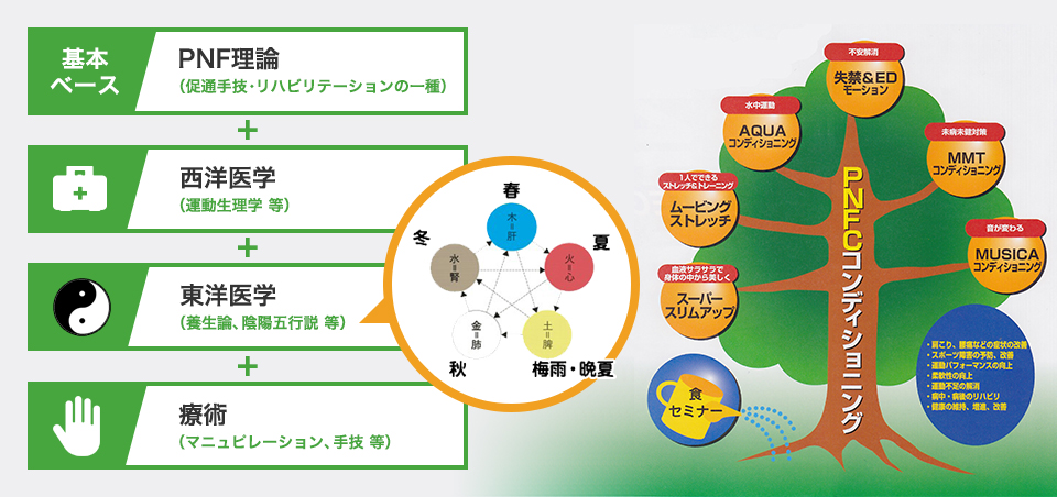 PNFCコンディショニングの特徴